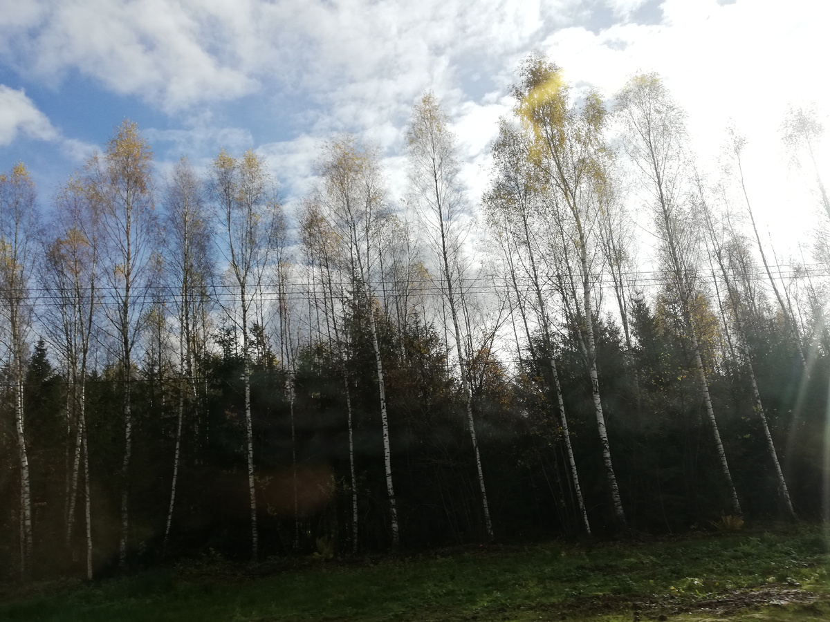 По дороге на дачу 