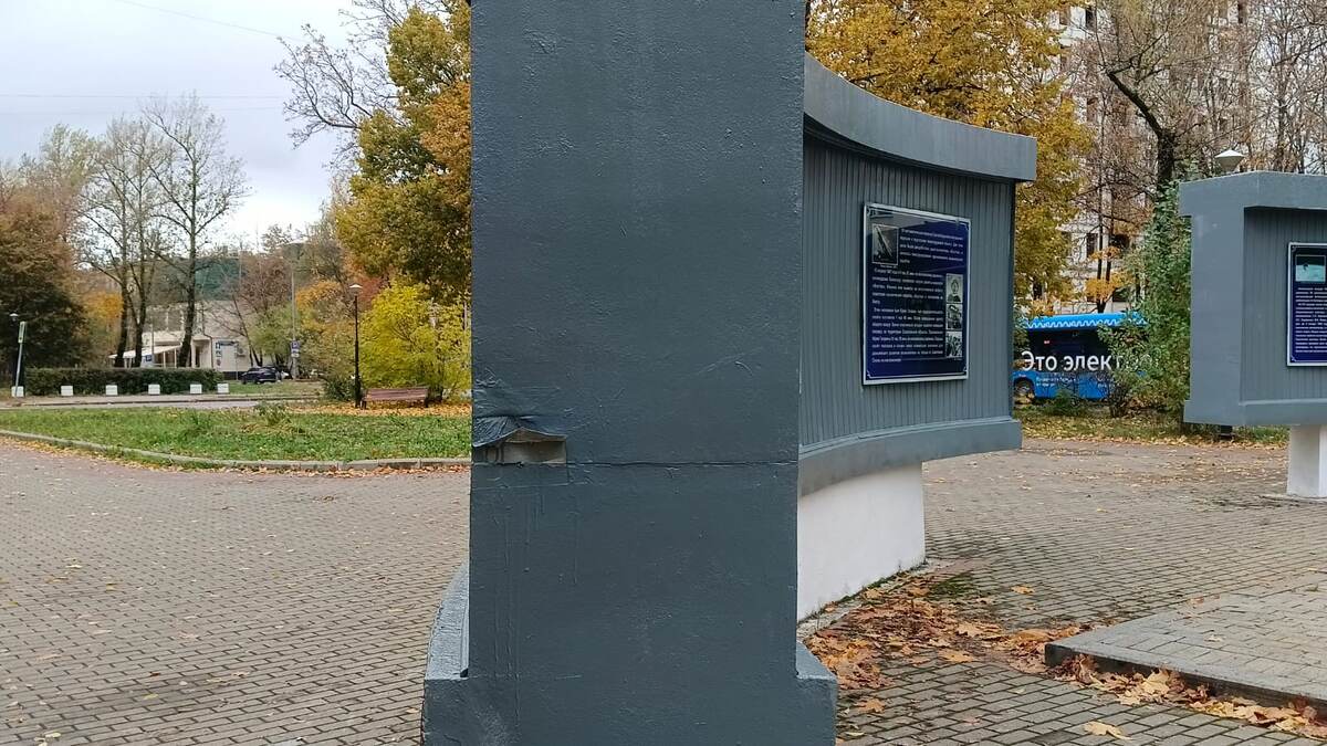 Спутник Северное Измайлово