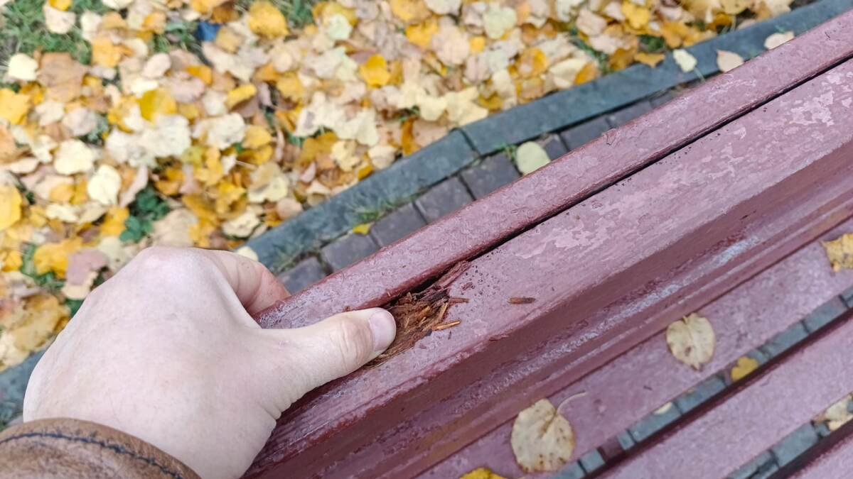 Северное Измайлово