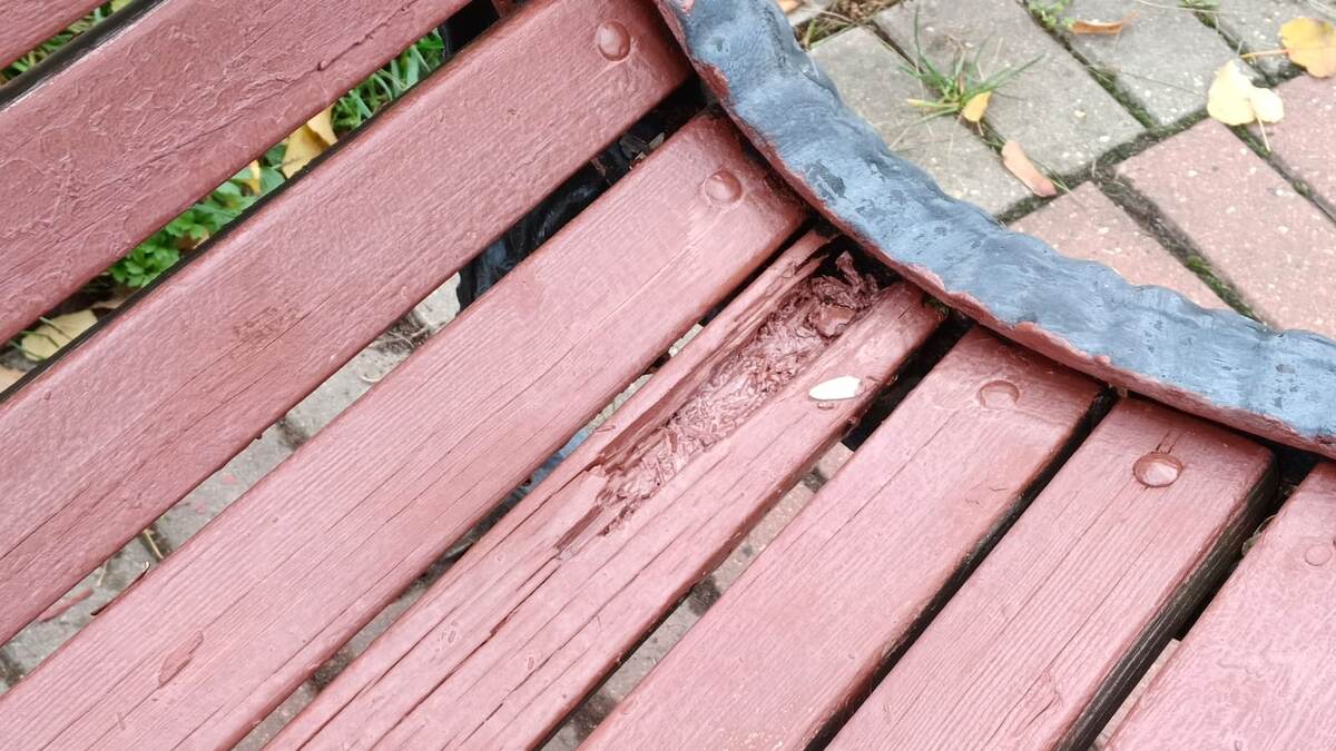 Северное Измайлово