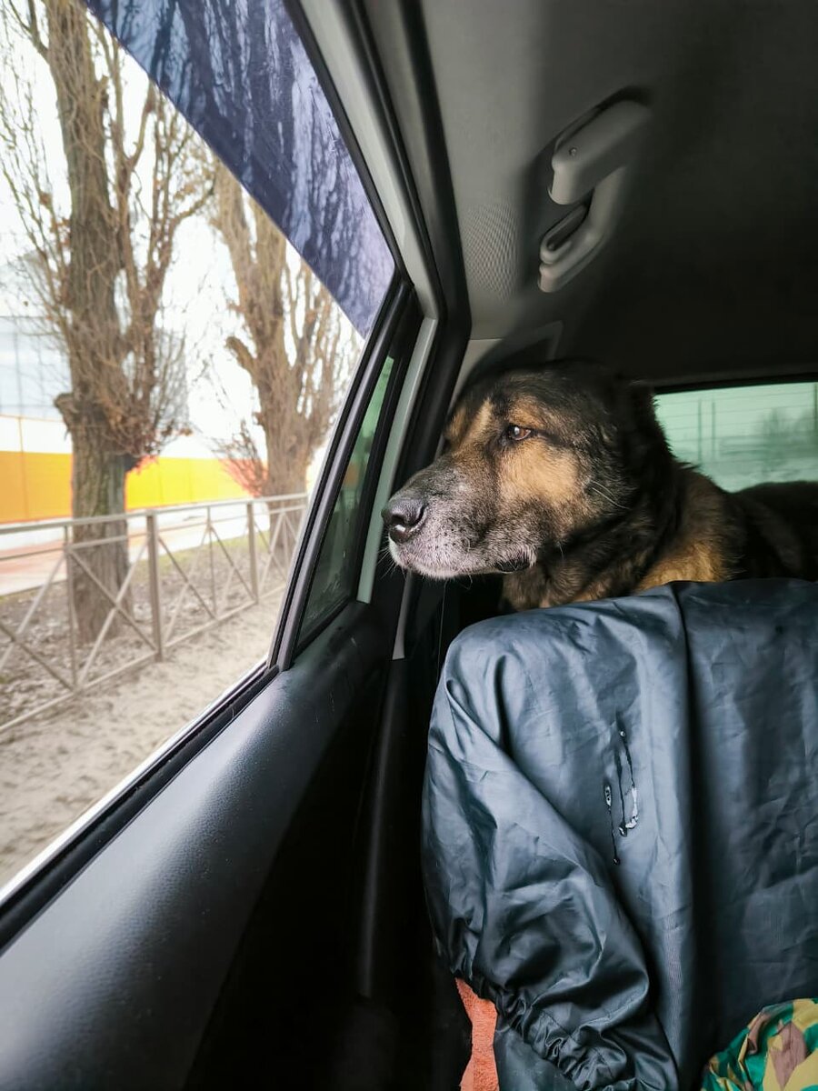 Дорога из Азова в Ростов-на-Дону на операцию