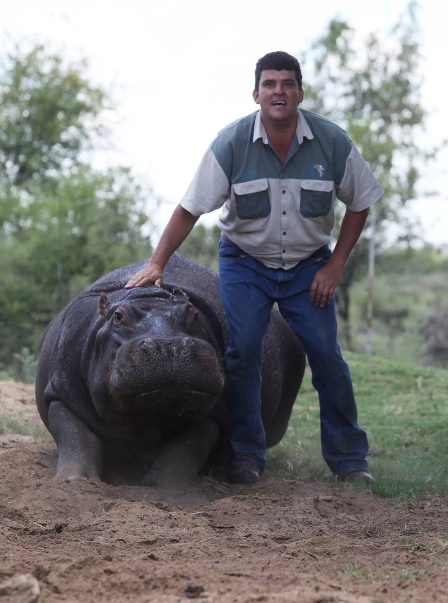 Мариус научил его плыть рядом с людьми.