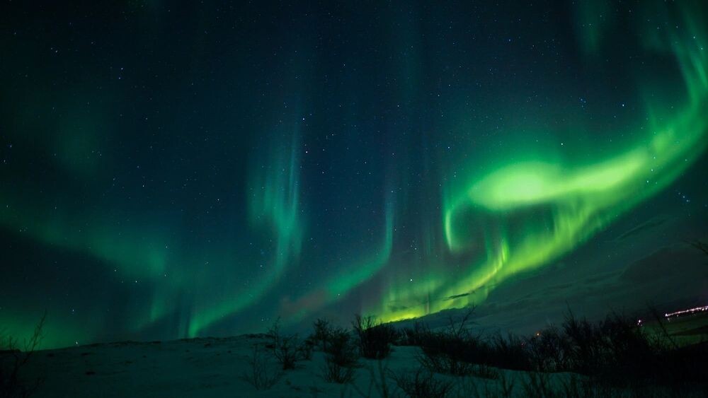    Фото: Dimitri Tymchenko/Shutterstock/Fotodom