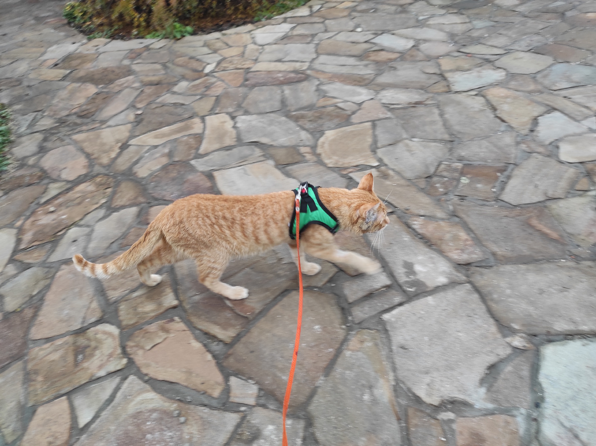 Ну мы и пошли...А чё?