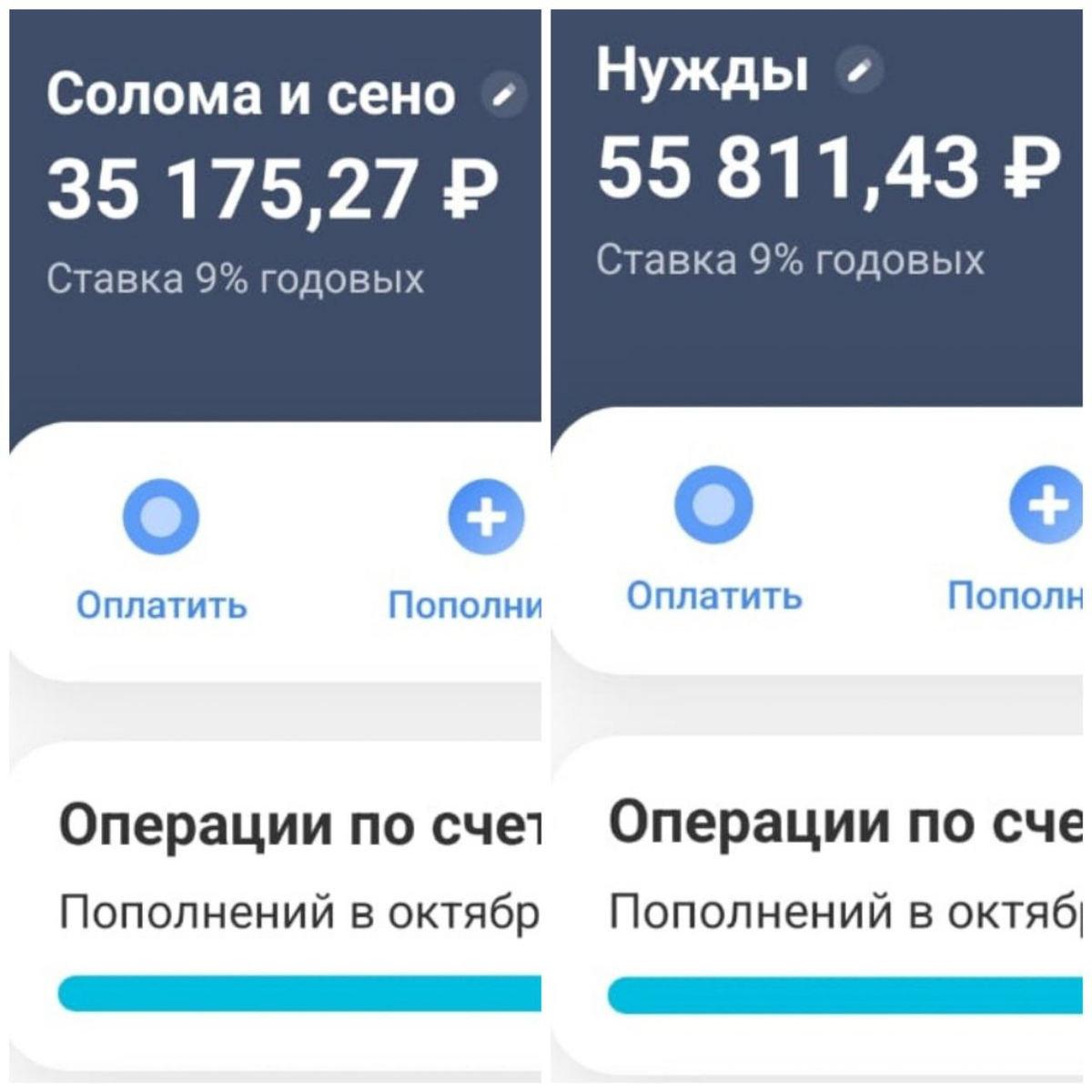 👆🏻Остатки на счетах на сено и солому