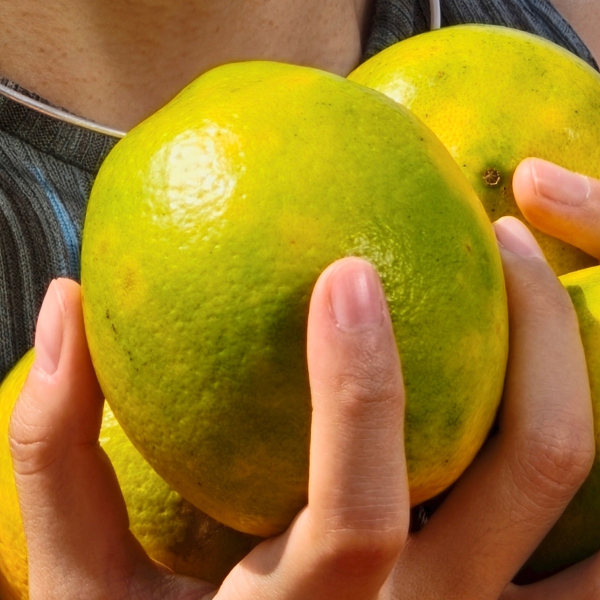 Фото: Realme  📷
