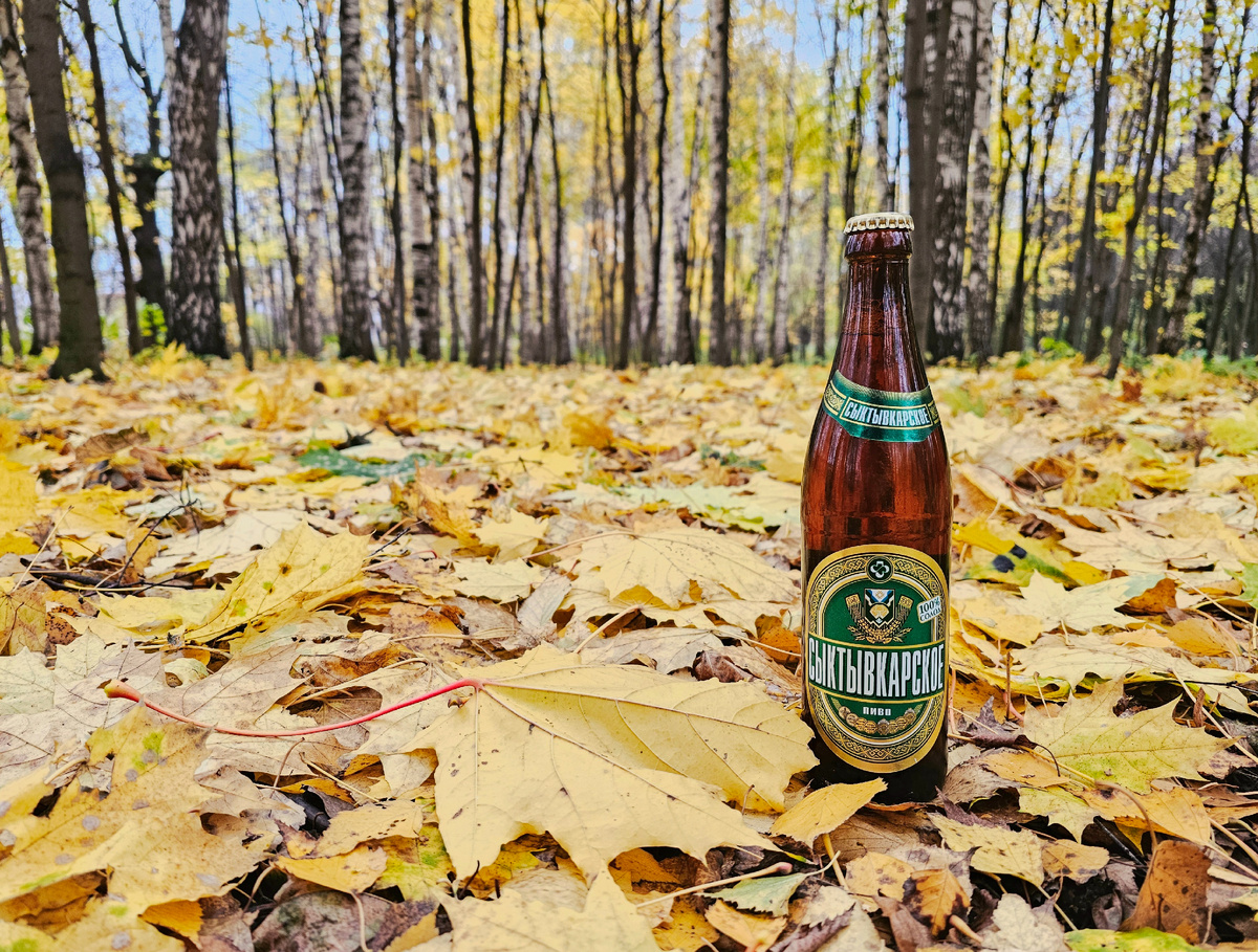 Сыктывкарское, фото автора