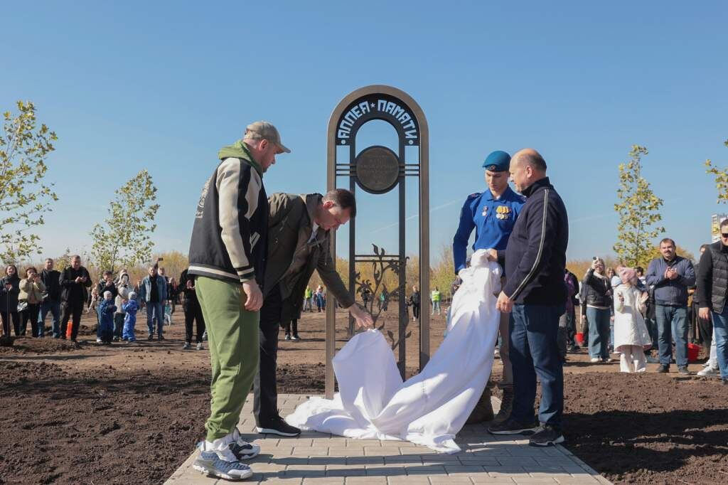 Фото: donland.ru redactor  📷
