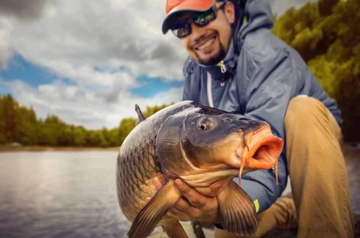    Дебют и гамбит.