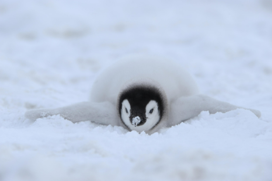    Raimund Linke/imagebroker.com/Global Look Press