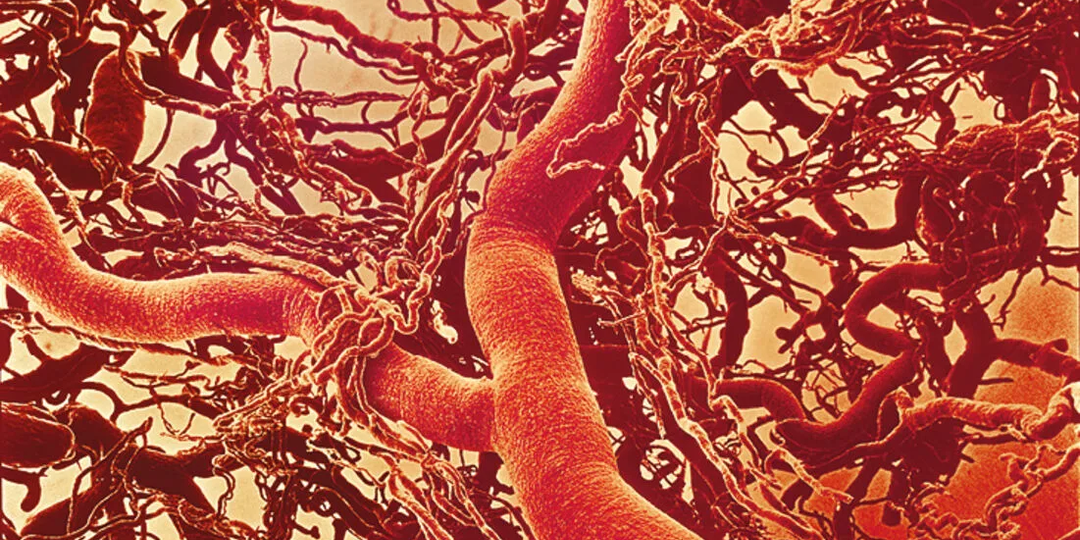 Какие лекарства влияют на верхнее АД, а какие - на нижнее?