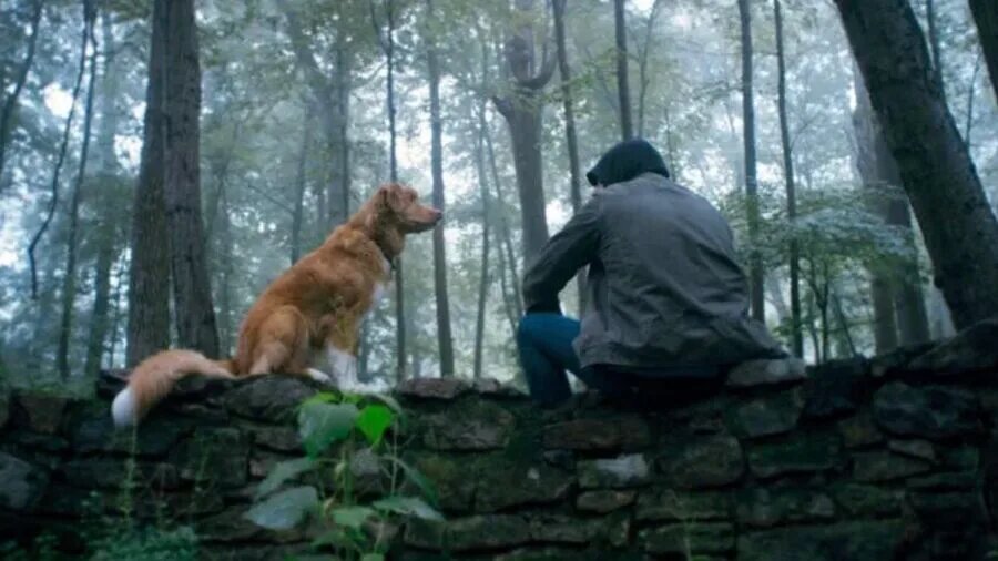 Кадр из фильма