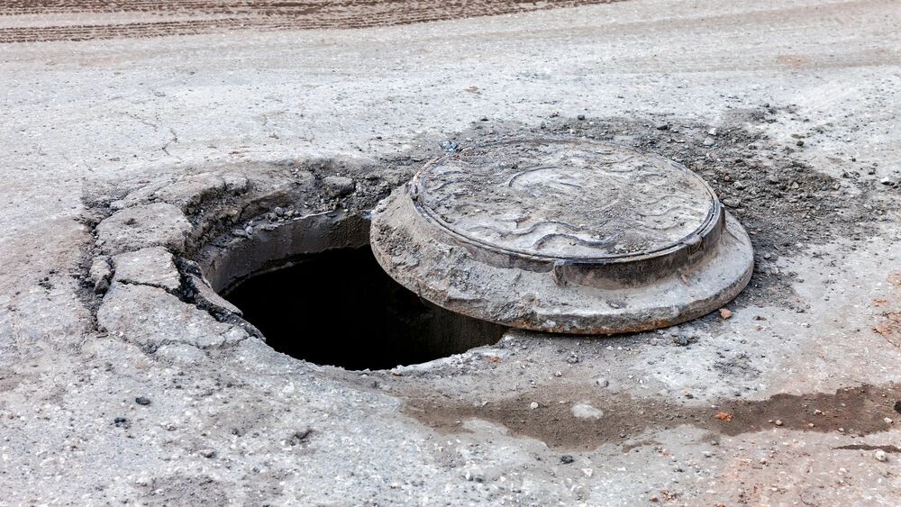    Фото: FotograFFF/Shutterstock/Fotodom