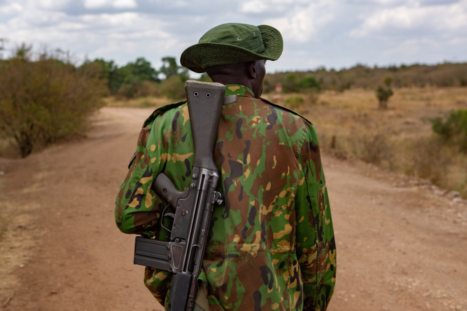    Shutterstock/FOTODOM