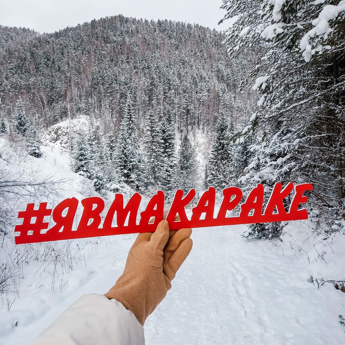 тропа на родник "Дачный"