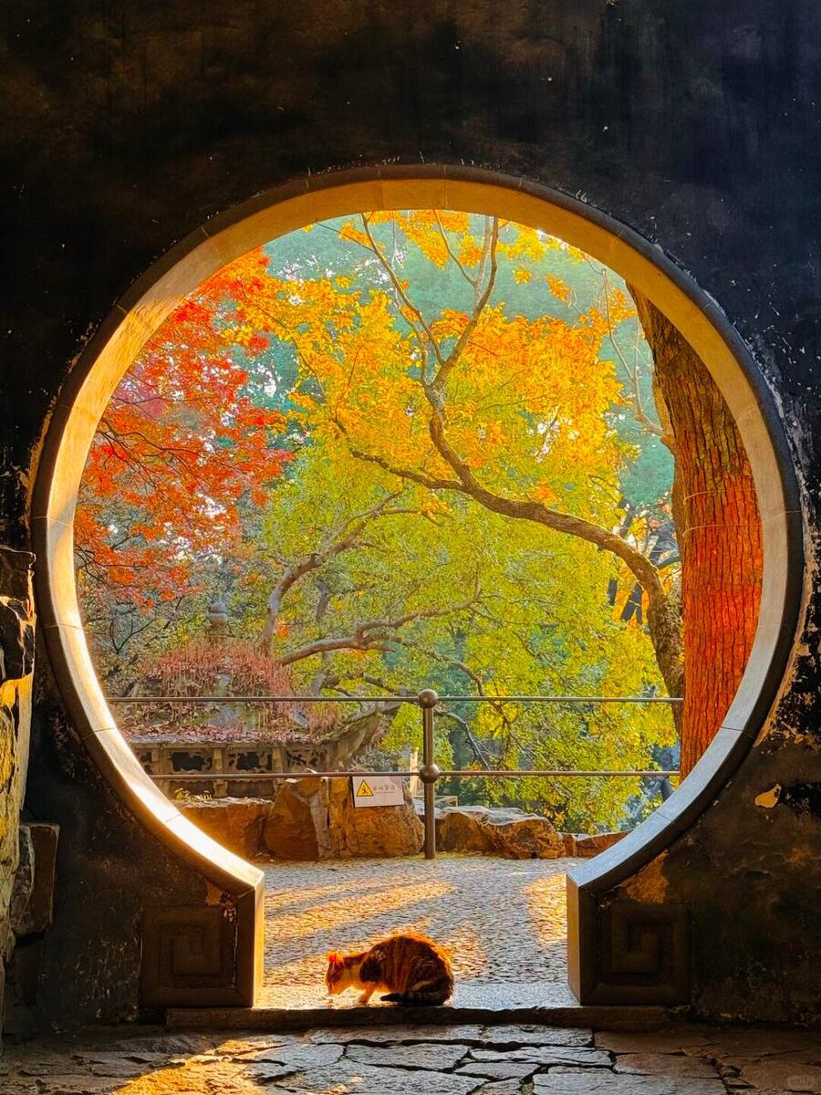 Осенний Сучжоу поражает своей красотой