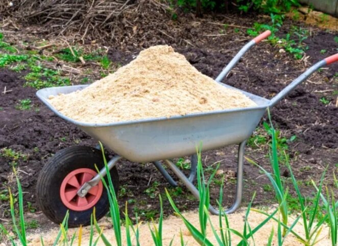 Почему опилки не улучшают грунт: 3 неявные причины не вносить под заделку и не мульчировать: агрономы советуют. И когда стоит использовать