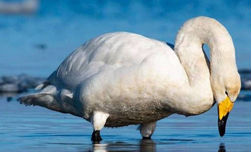    Источник фото: t.me/prosecutor_pk