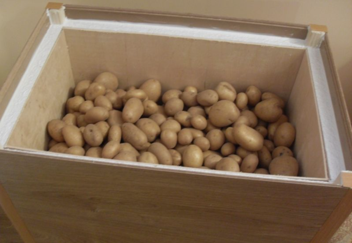 Источник фото: pinterest.com