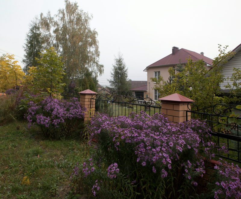    Фото: Nikolay Gyngazov/Global Look Press