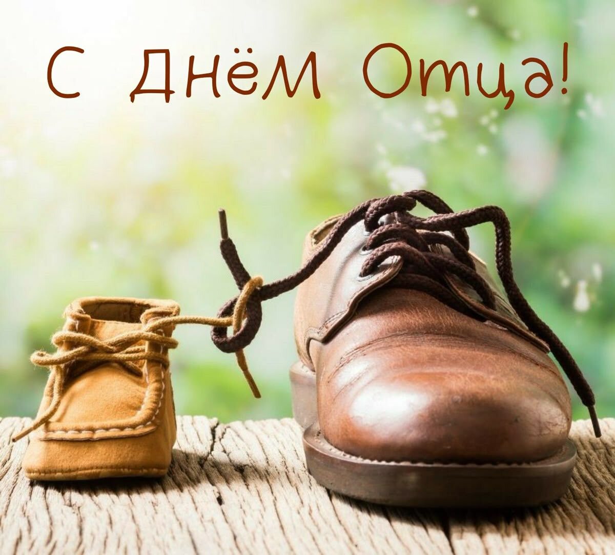 Фото интернета