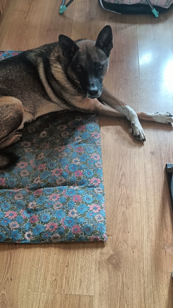 Любимая поза нога на ногу 