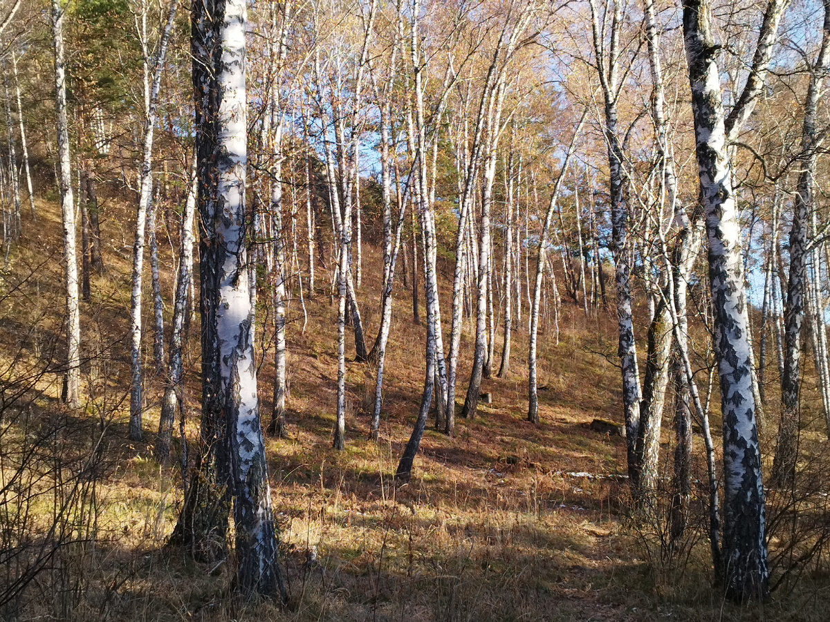 Разве можно в такой день остаться дома?