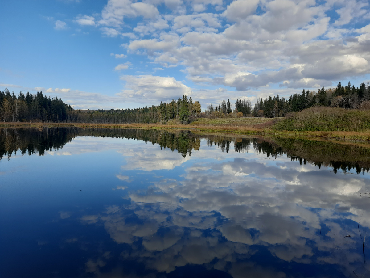 Озеро у дороги