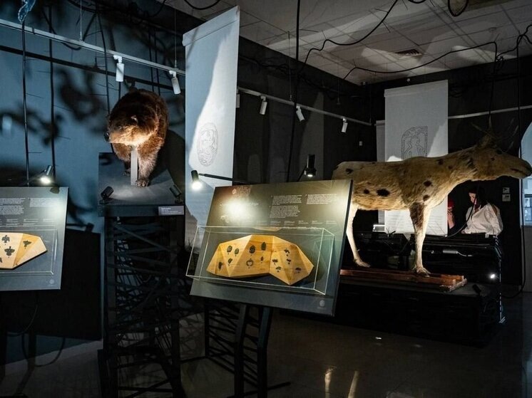     Фото: museumolimp.ru