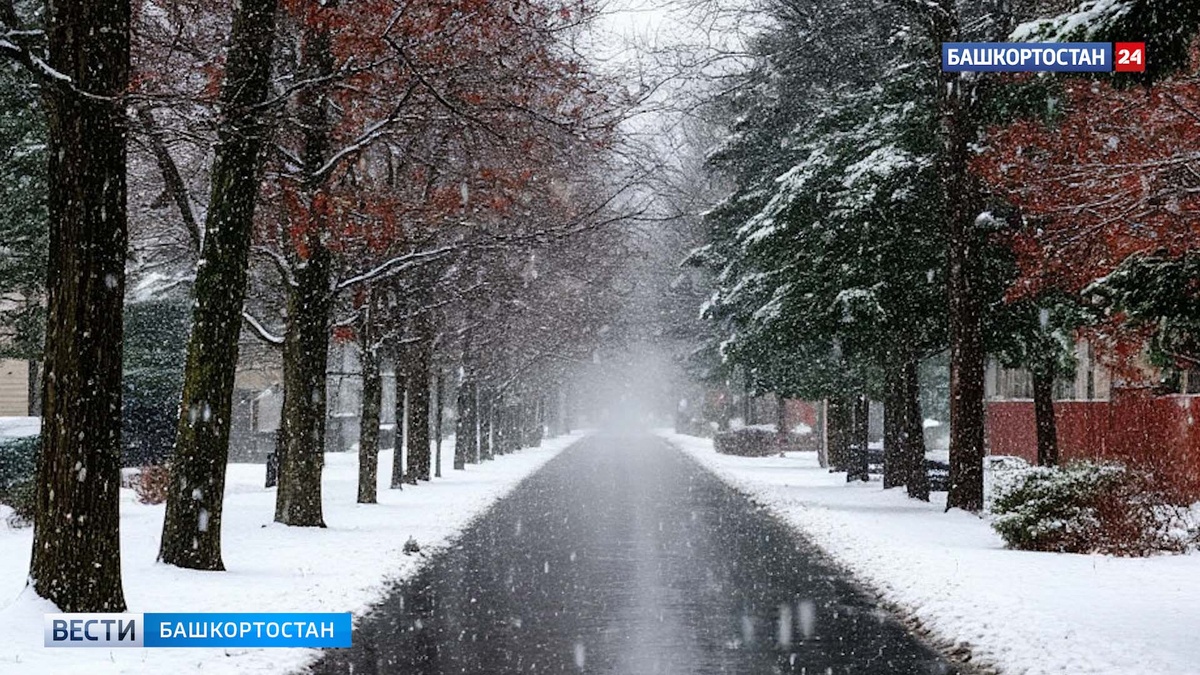    Синоптики Башкортостана дали прогноз погоды на начало новой недели