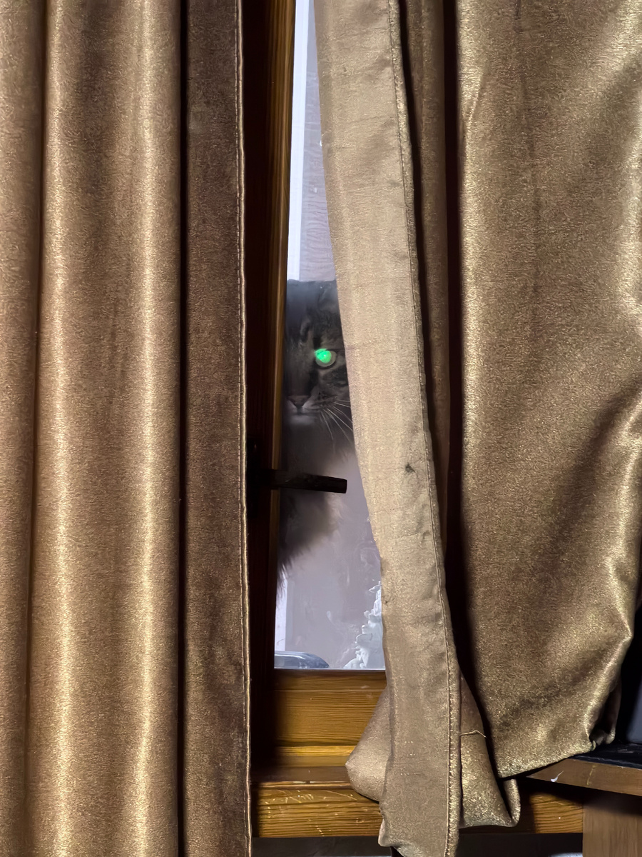 Сижу на балконе.