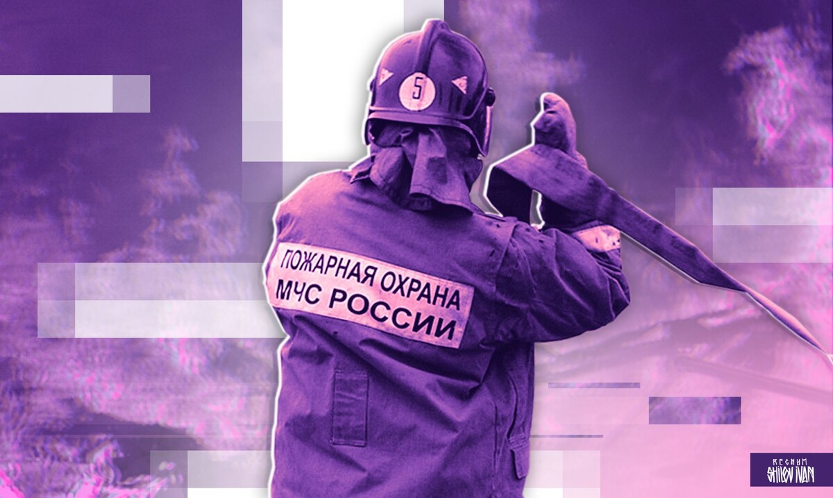     / Источник: Иван Шилов (с) ИА Регнум