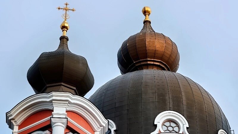      Фото: @frimufilms / ru.freepik.com