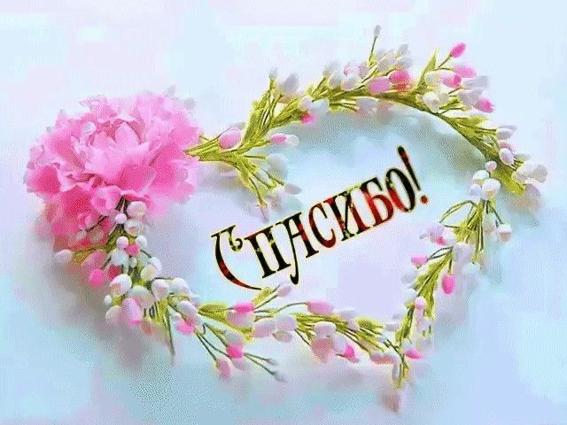 яндекс картинки