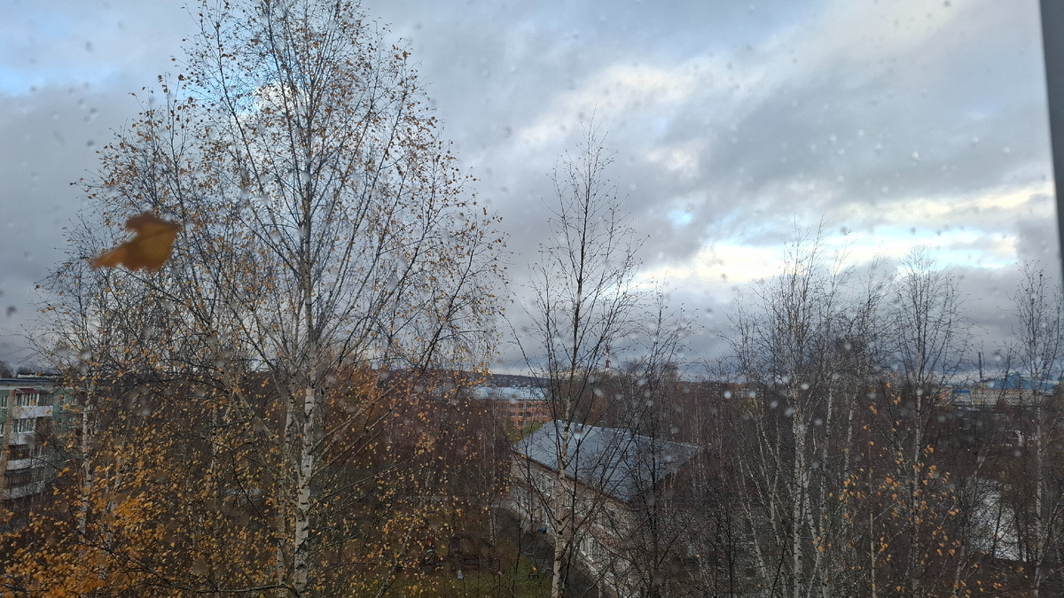  Ветер разгоняет тучи. Листочек приклеился к стеклу.