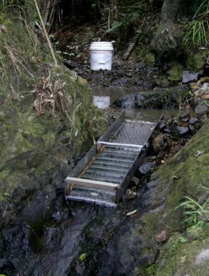 Шлюз на ручье. Новая Зеландия. 