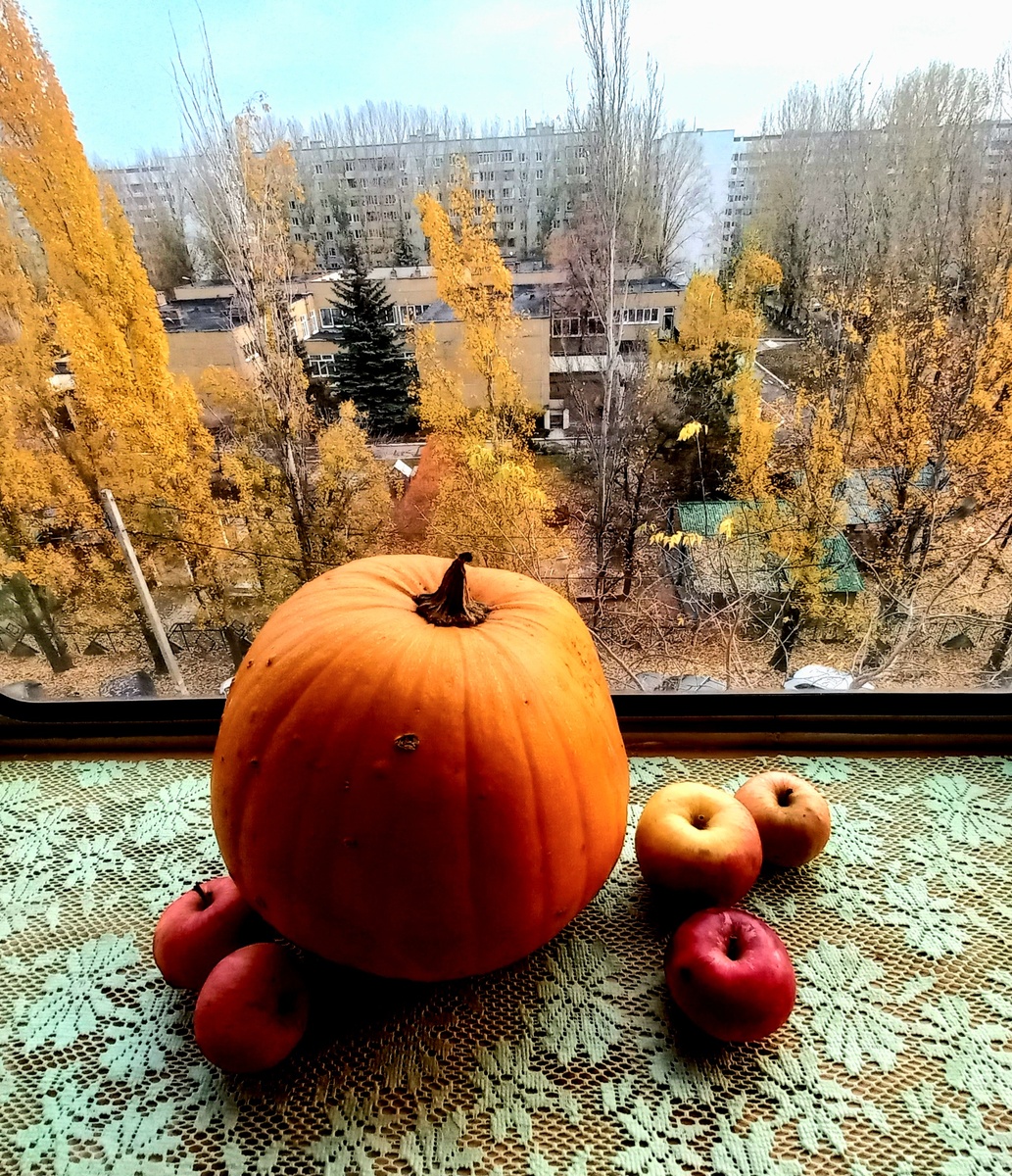 Вид из моего окна. Немного дополнил его осенними атрибутами.