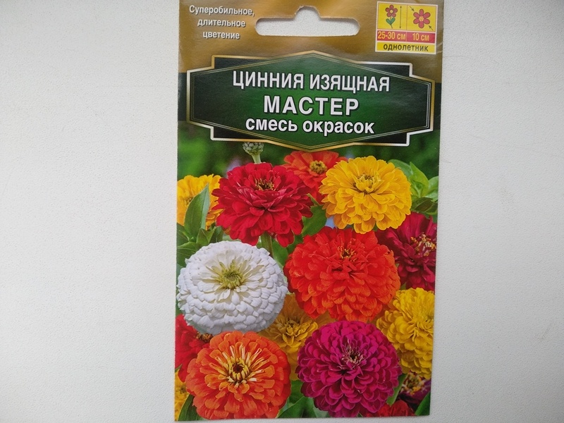 Упаковка из-под семян циннии низкорослой серии «Мастер»