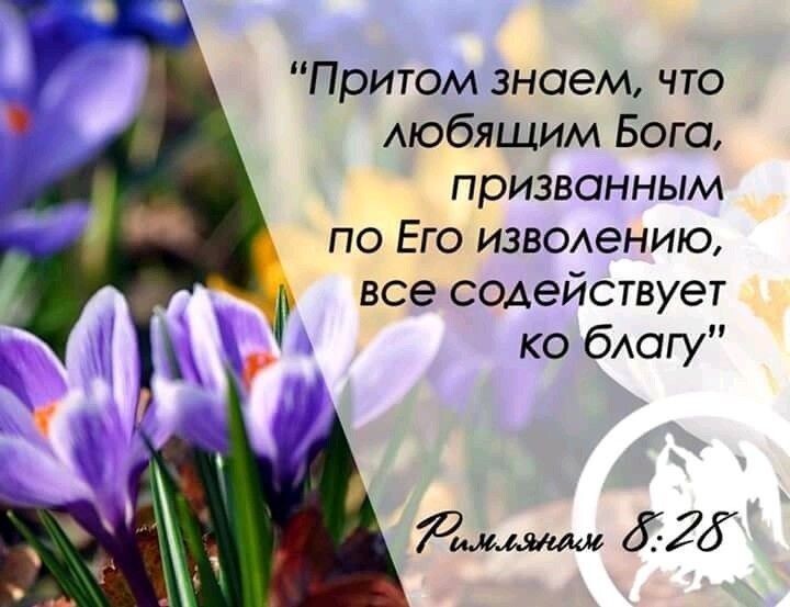 Из открытых источников Яндекса.