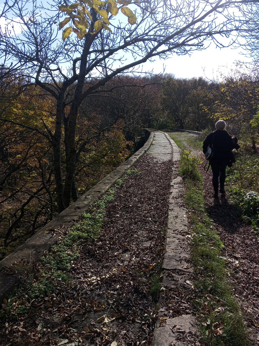 Мост. Вид сверху