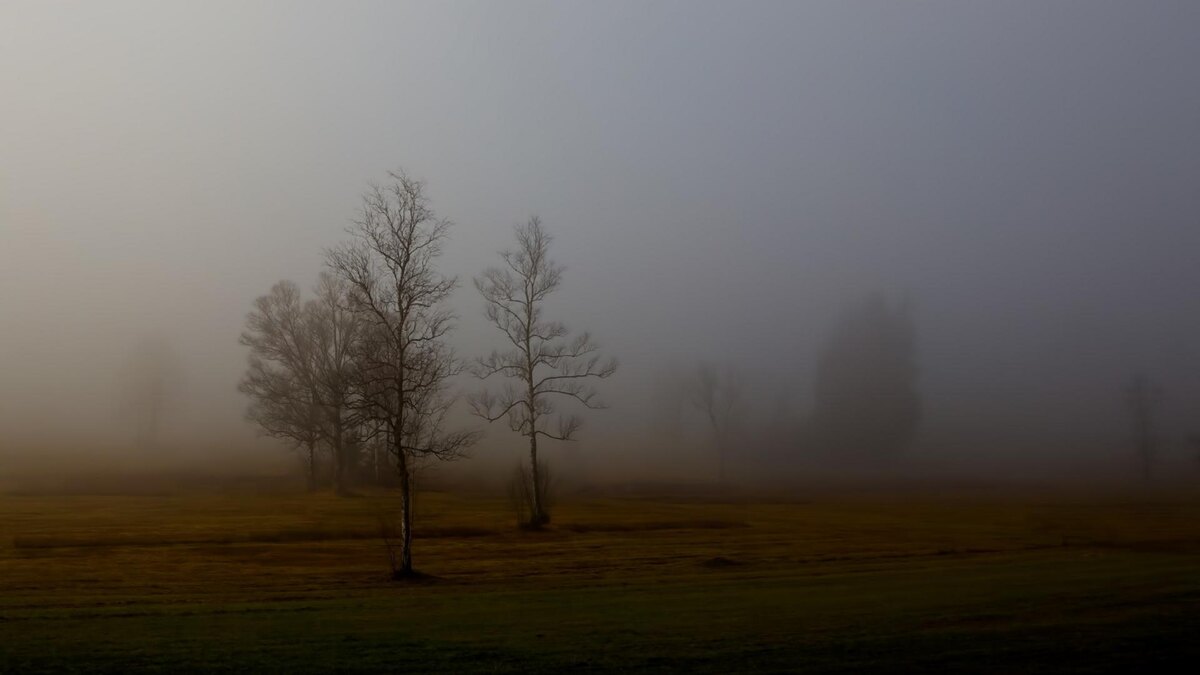    Фото: freepik.ru