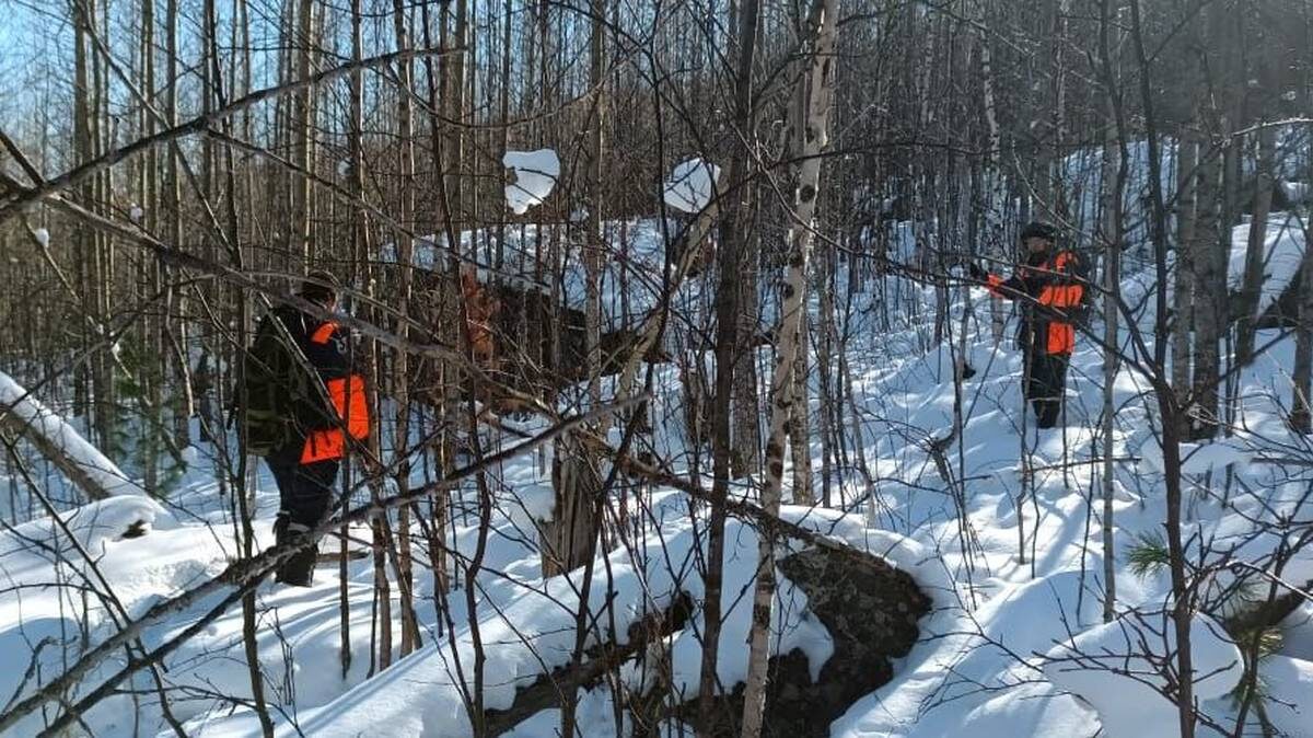    Фото: КГКУ «Спасатель» / Telegram