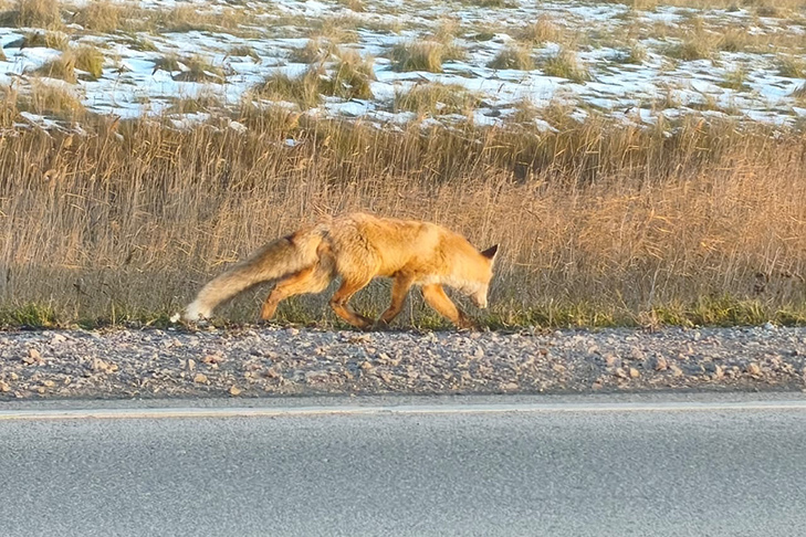    Фото Евгения Михайлова