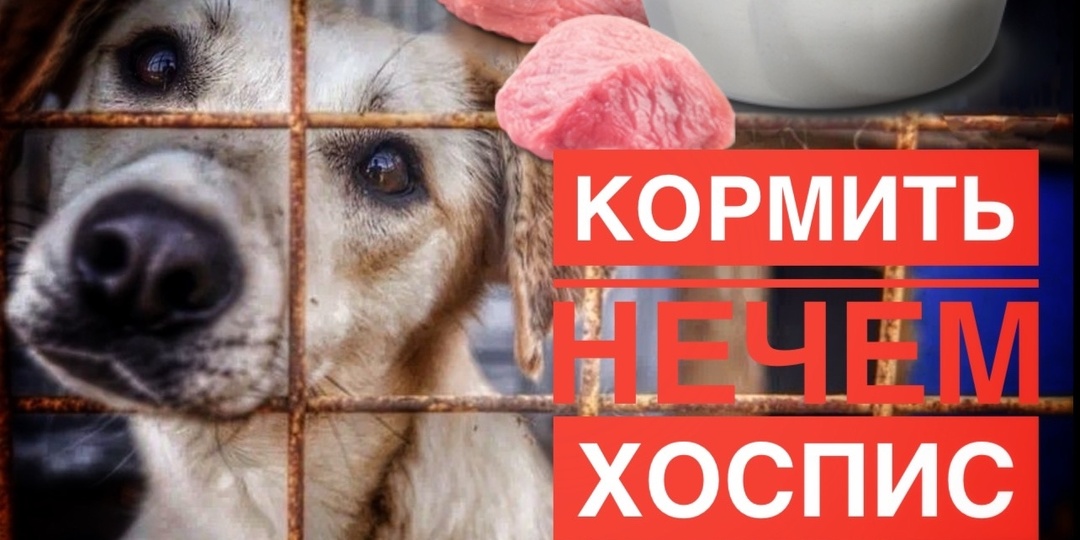КОГДА ЦЕНА КАШИ — ЖИЗНЬ. Помогите накормить 500 стариков и инвалидов!