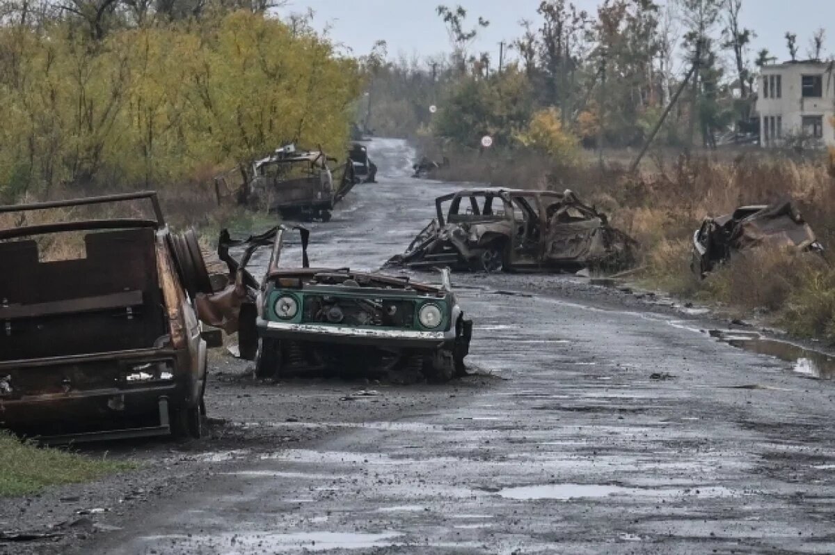    Боец ВС РФ рассказал, что ВСУ при отступлении минируют все, даже зайцев