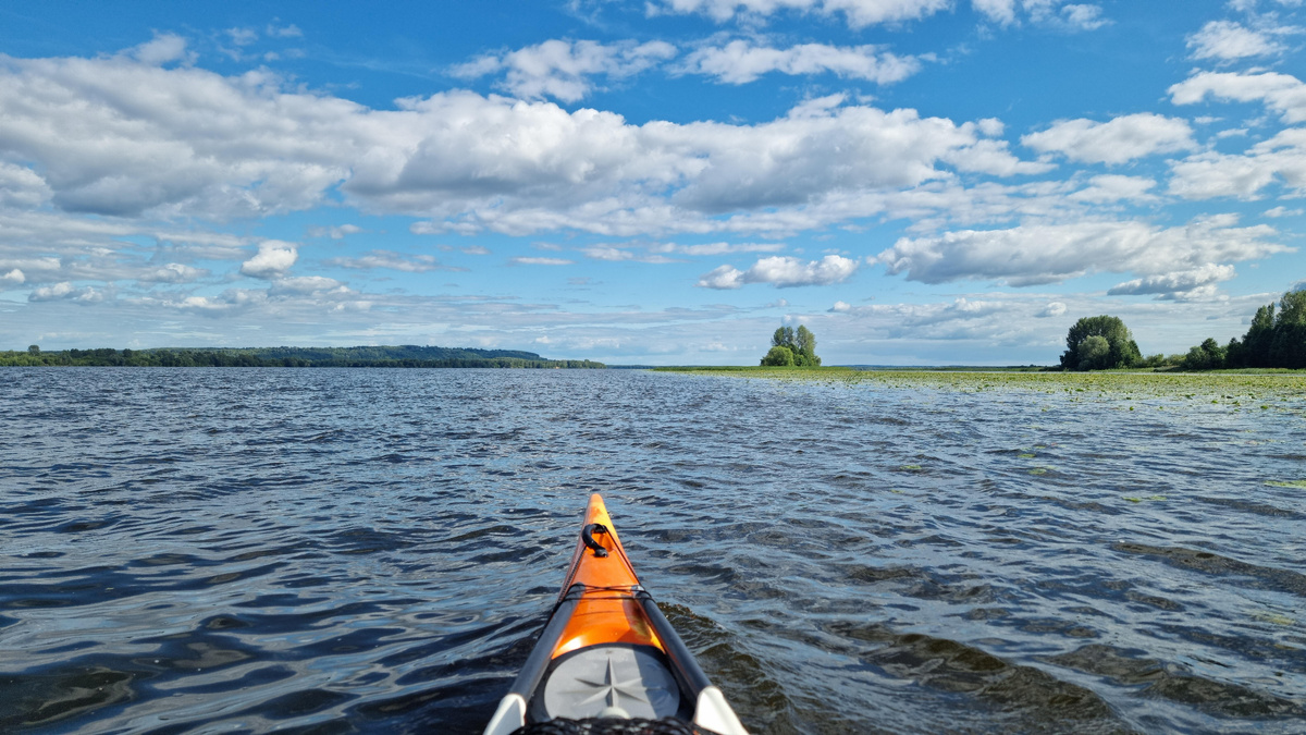 Ветер настойчиво направляет меня в царство кувшинок 🌿