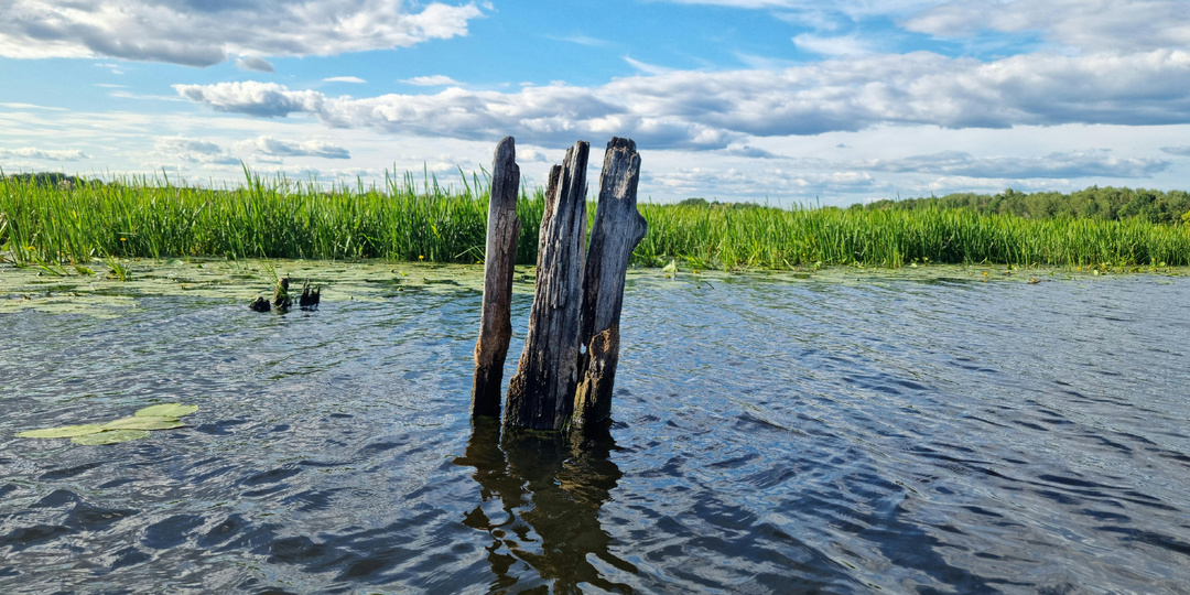 Ночной погром, "зелёный лабиринт" и вероломный поступок. День шестьдесят второй.
