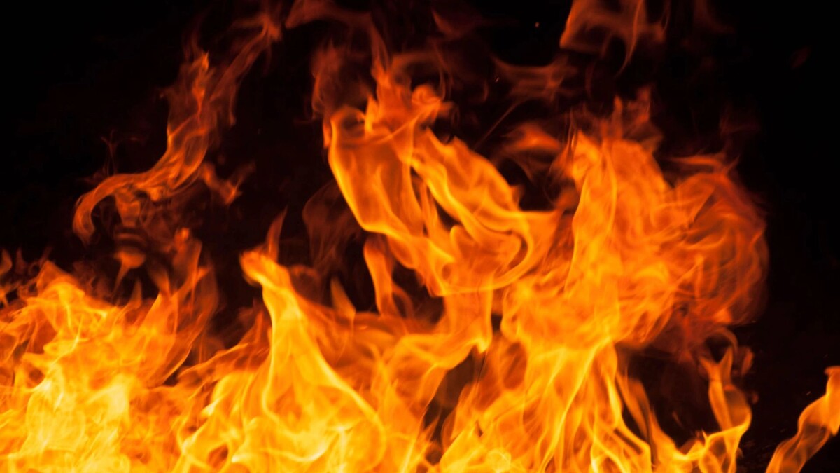    Фото: Ph.bySian/Shutterstock/Fotodom