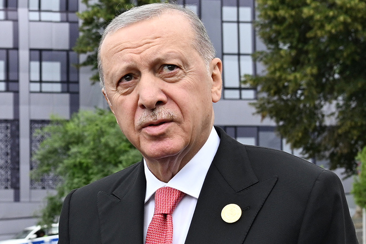    Эрдоган отменил бюрократические барьеры для этнических «братьев».   
Фото: President.az, CC BY 4.0, commons.wikimedia.org