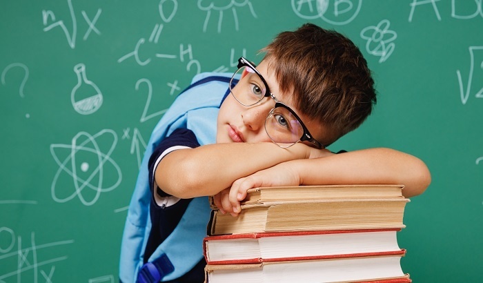    В России создадут единые стандарты школьных учебников к 2032 году